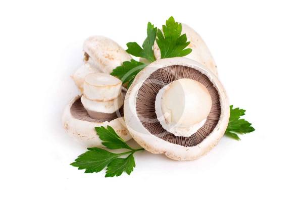 Organic Mushrooms